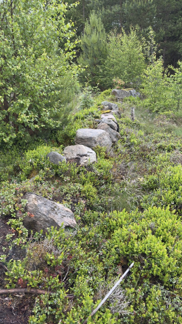 Stenrad i skogen — grunden till ett förhistoriskt hus nära Osby