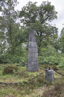 Schlachtdenkmal von Sibbarp im Wald bei Osby