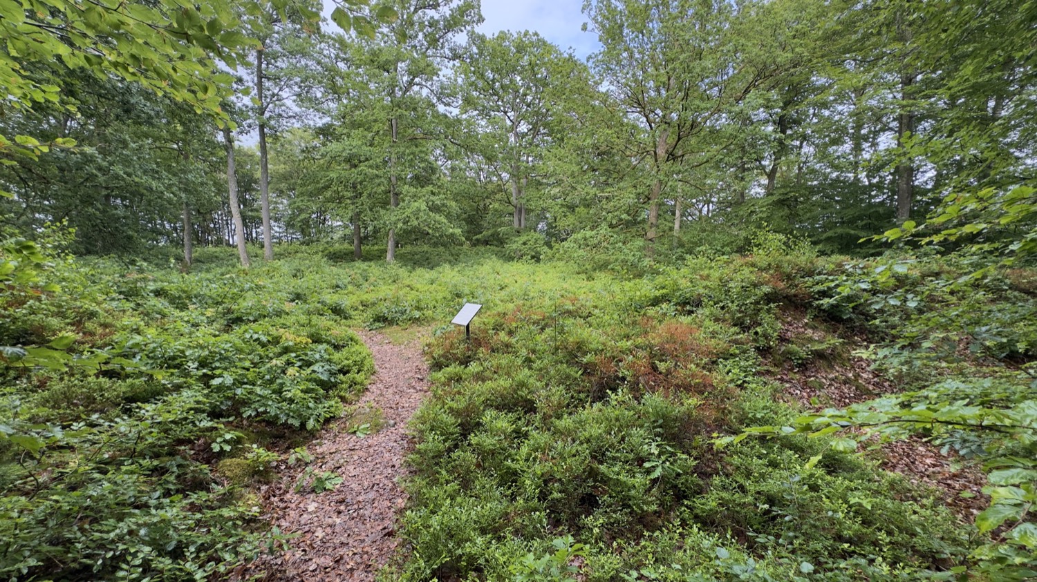 Stig med informationsskylt genom naturreservatet Osby skansar