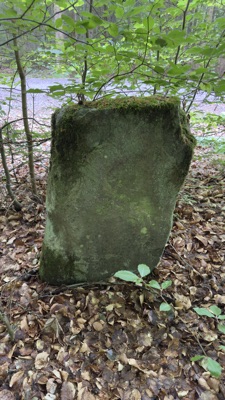 Moosbedeckter Reststein bei Hästveda, Skåne