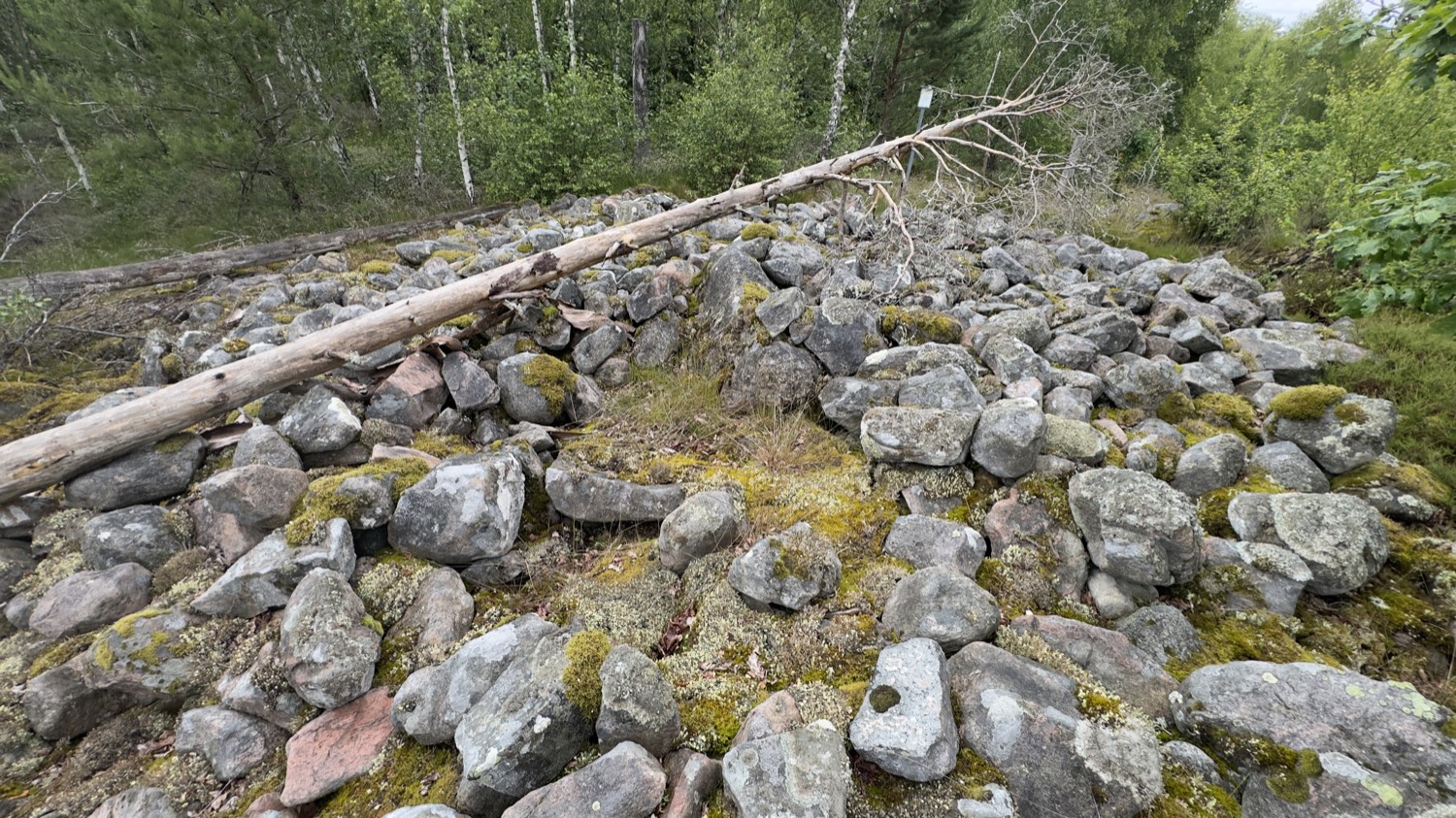 Stort röse av grå stenblock med en kullfallen trädstam över sig