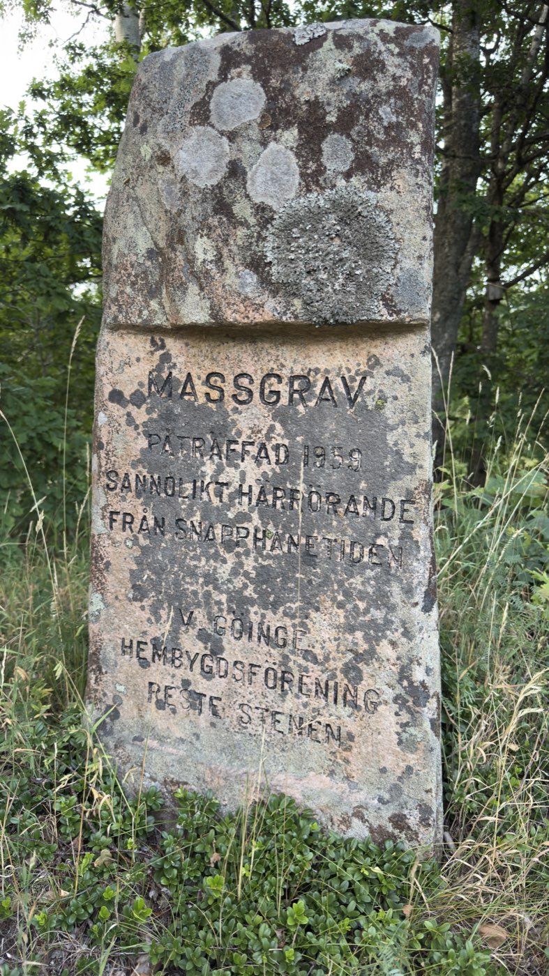 Lavklädd minnessten i granit med inskriptionen MASSGRAV PÅTRÄFFAD 1959