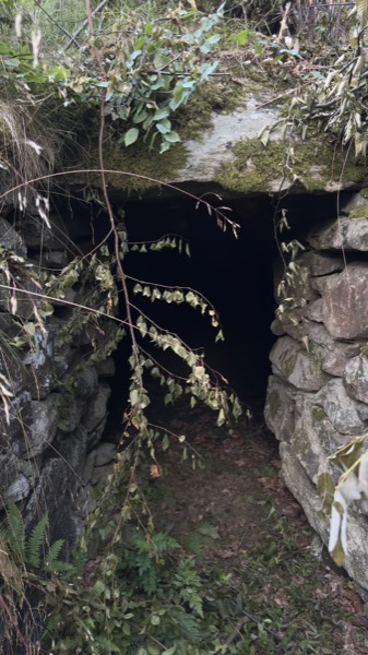 Dunkler Eingang eines alten Erdkellers im Wald bei Verum