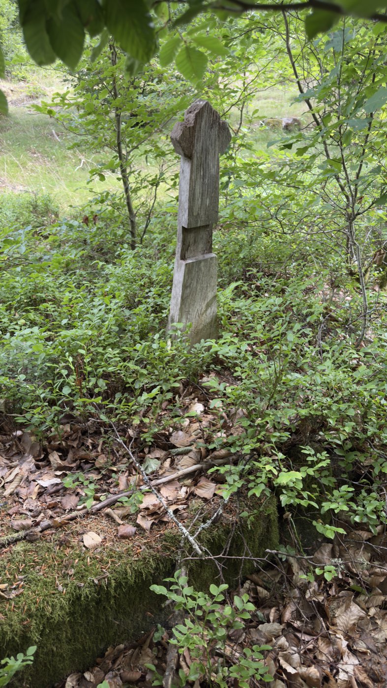 Verwittertes Holzkreuz zwischen Heidelbeerkraut im Wald bei Hästveda, Schonen