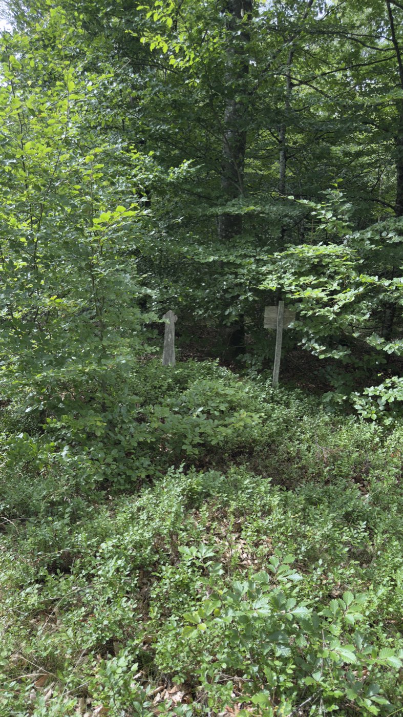 Blick auf den Platz im Wald mit dem Kreuz links und der verwitterten Tafel rechts